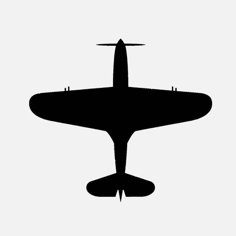 Silhouette d’avion vue de dessus