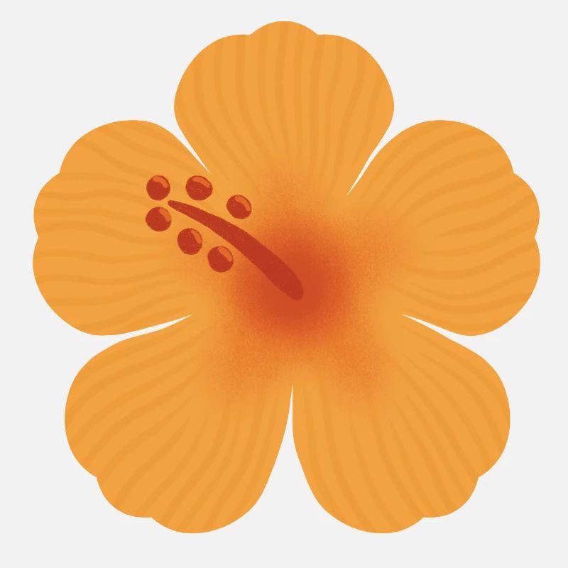 Floraison d’hibiscus orange