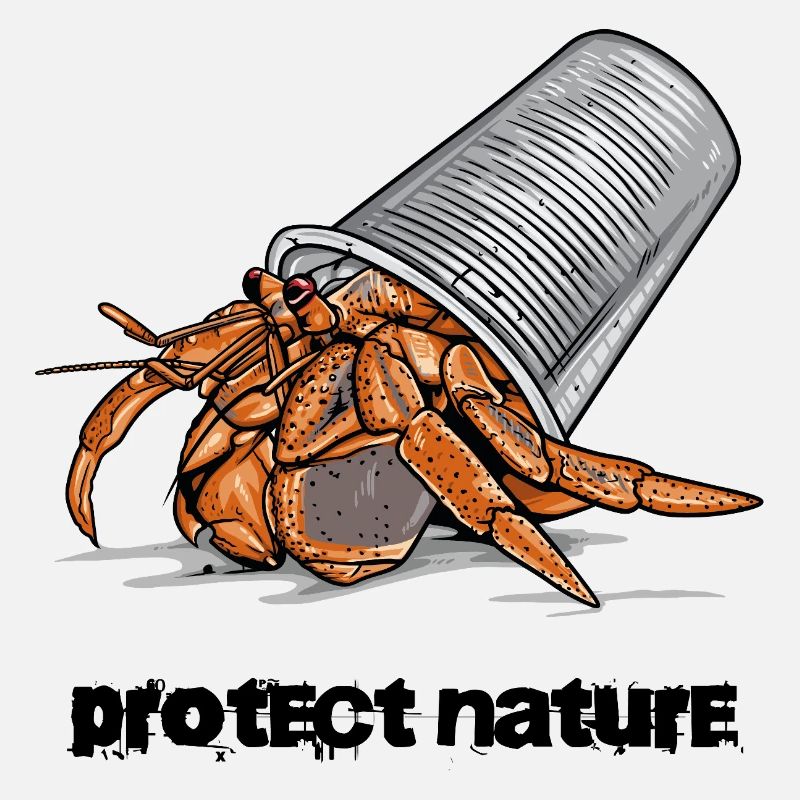 Ordures de Ermite Crabe