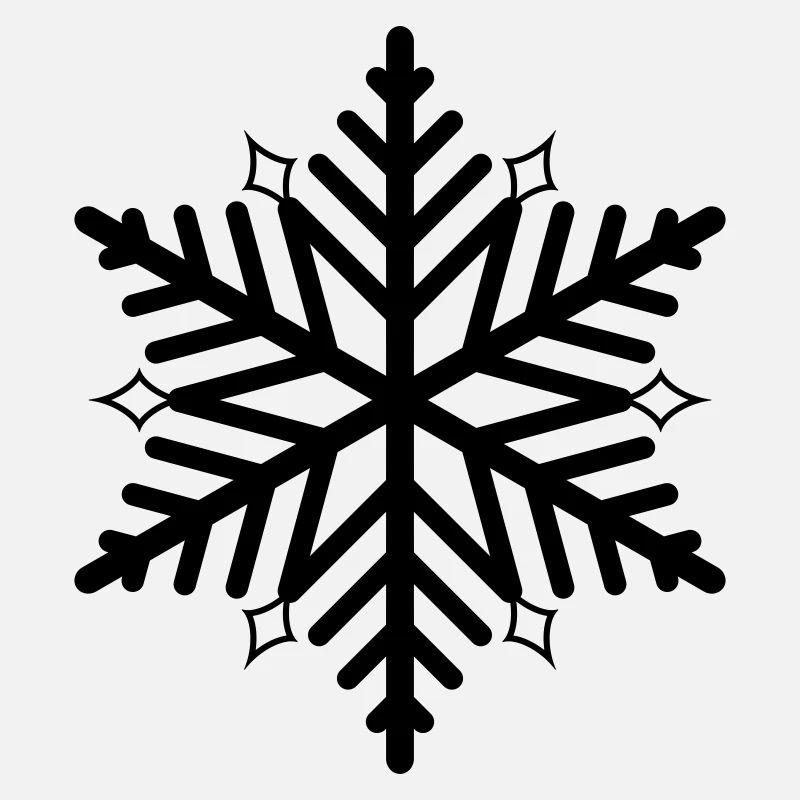 Flocon de neige flocon de neige