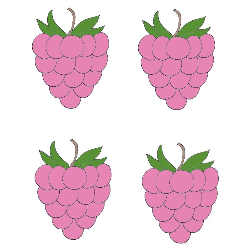 Raspberry Double Cluster Pattern