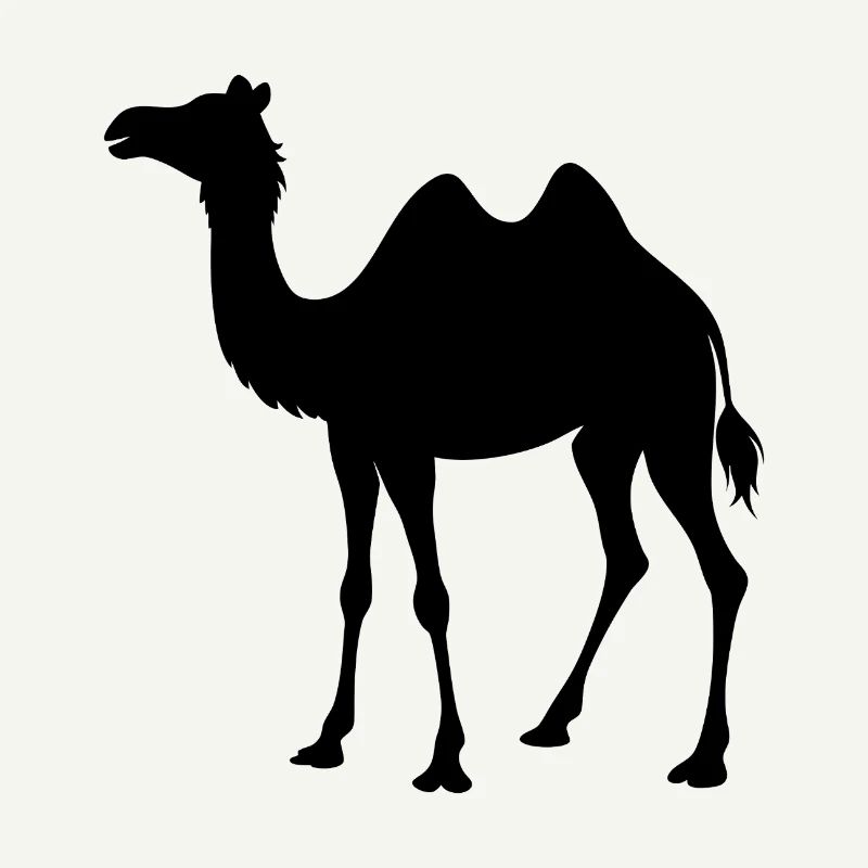 Camel