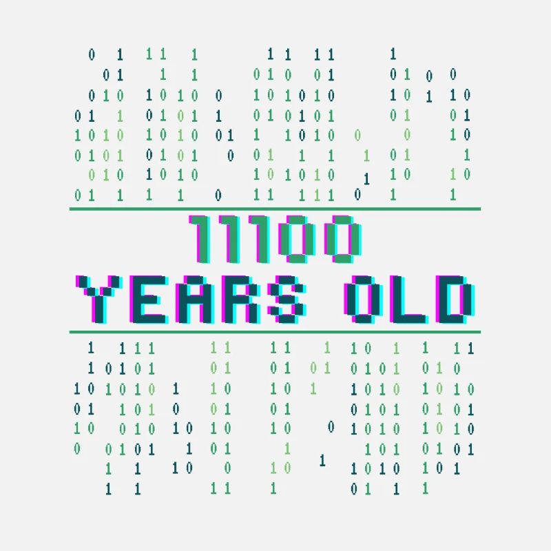 28th Birthday 28 years old Binary Code Coder