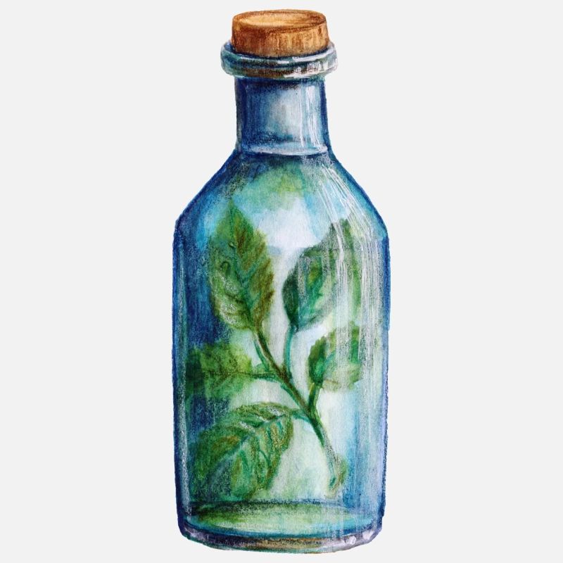 Conception magique de l’heure du cocktail de la sorcière des herbes