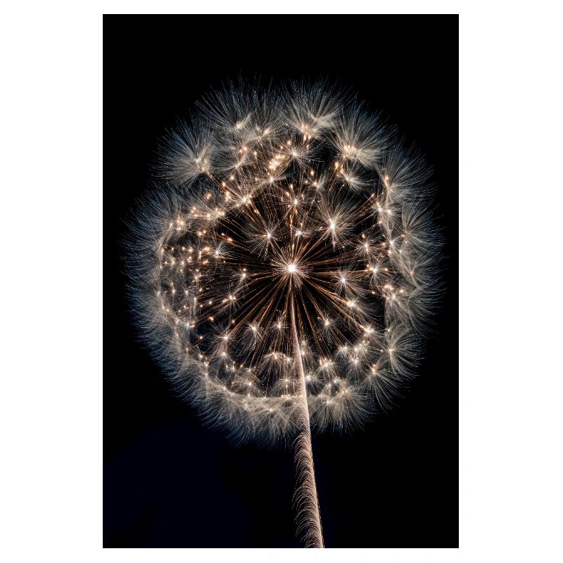 Luminous Dandelion Firework