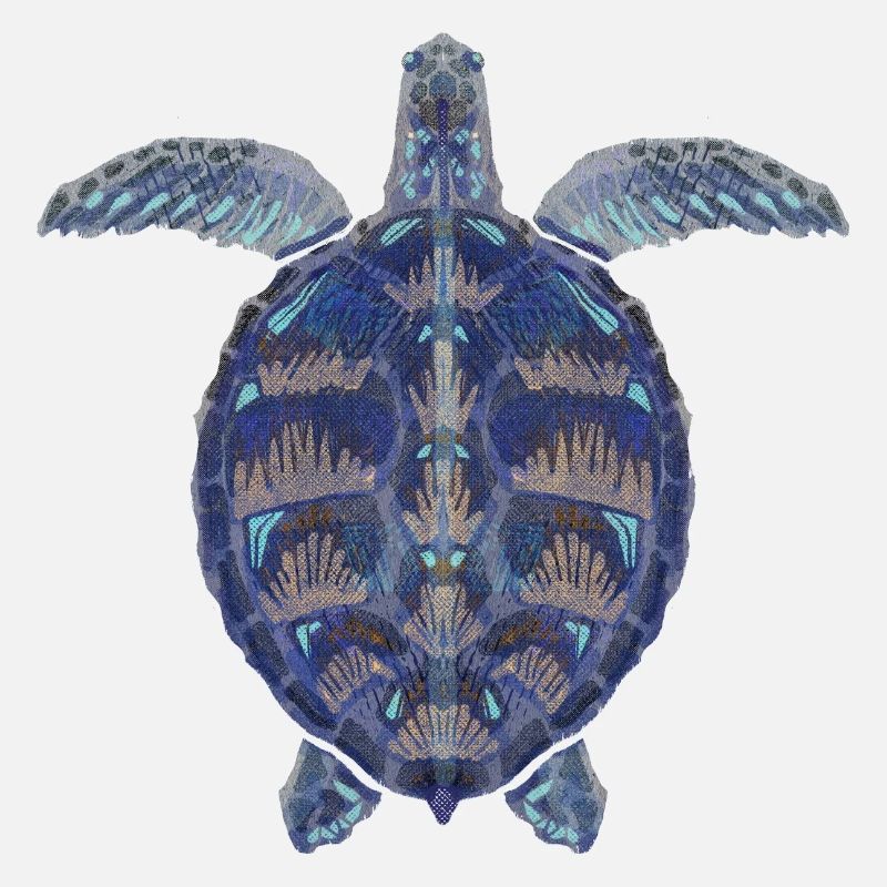 Sea turtle