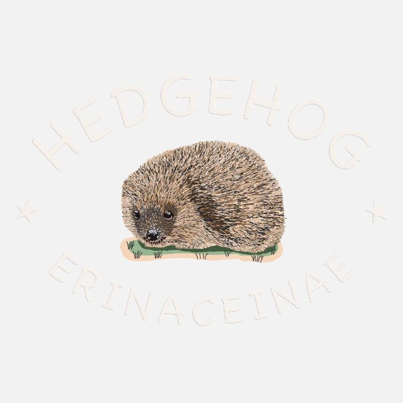 Echter Igel, wissenschaftlicher Name, Englisch