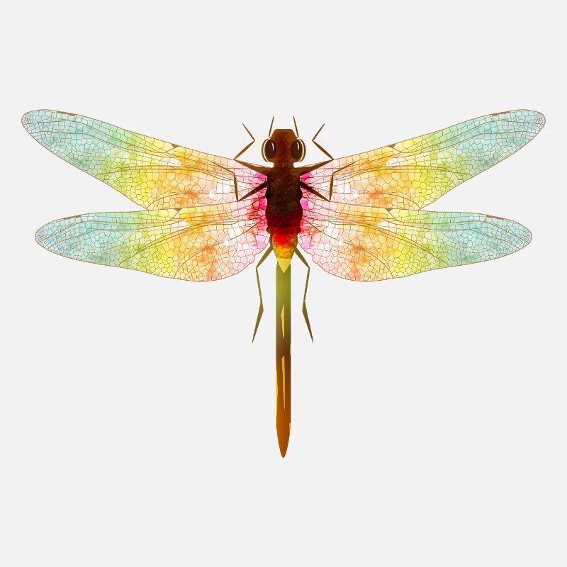 Libellule irisée – motif insecte en filigrane