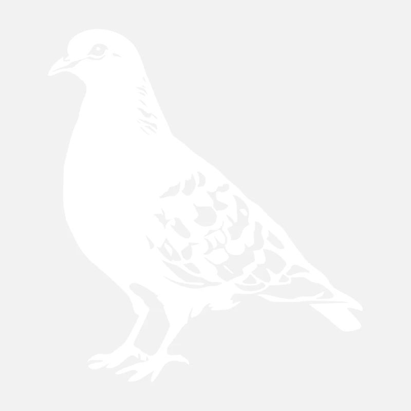 Dove Drawing