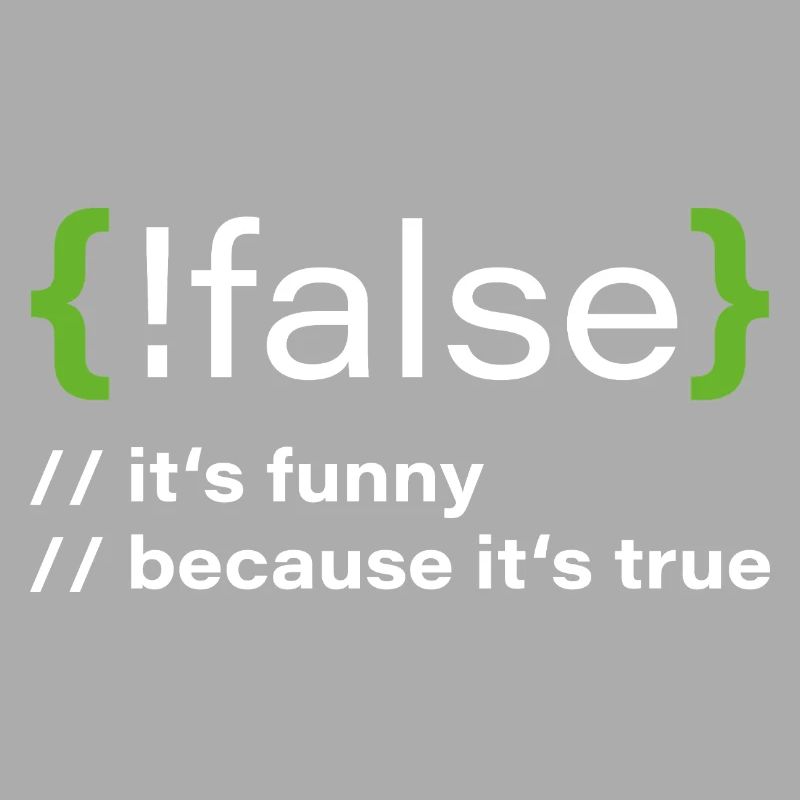 false – Funny programmer saying