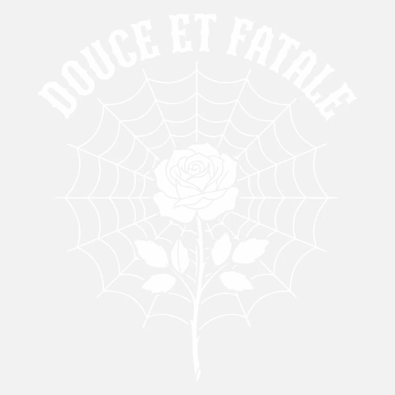 Rose au centre du Web araignée