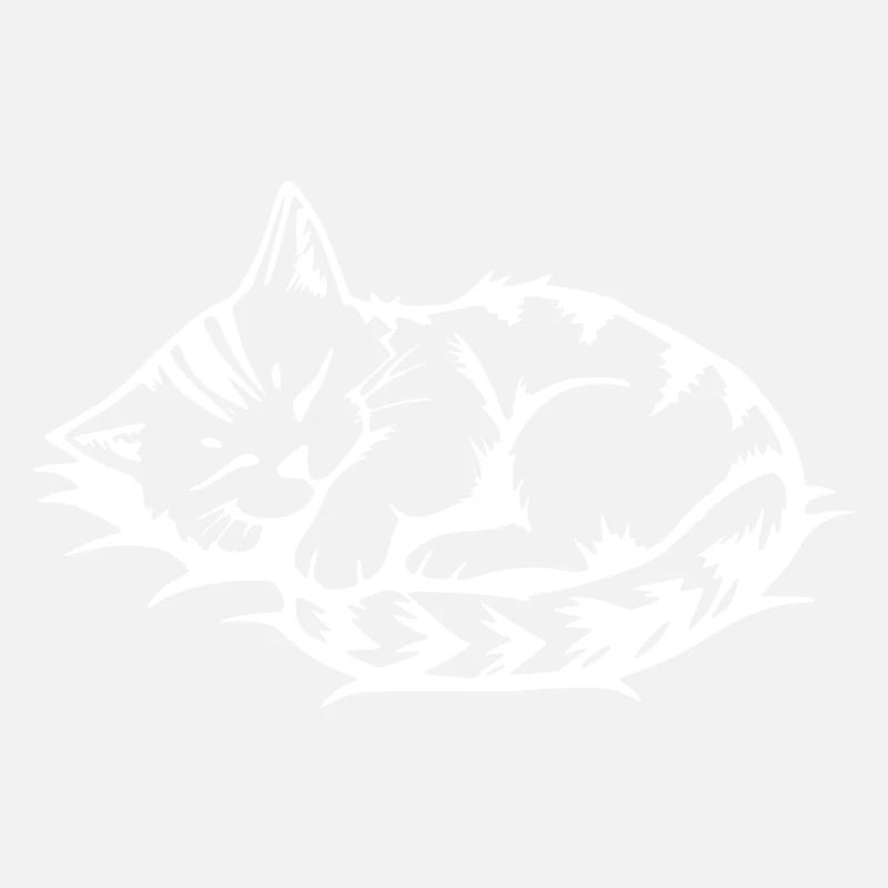 Chat Blanc Endormi