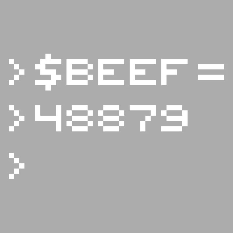 BEEF 8-bit Code Nerd Pixel Terminal Rétro