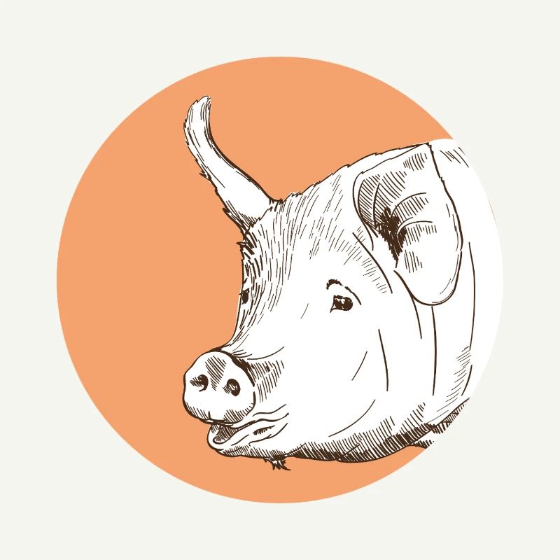 Cochon