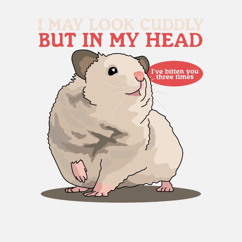 Hamster Goldhamster Zwerghamster Geschenk