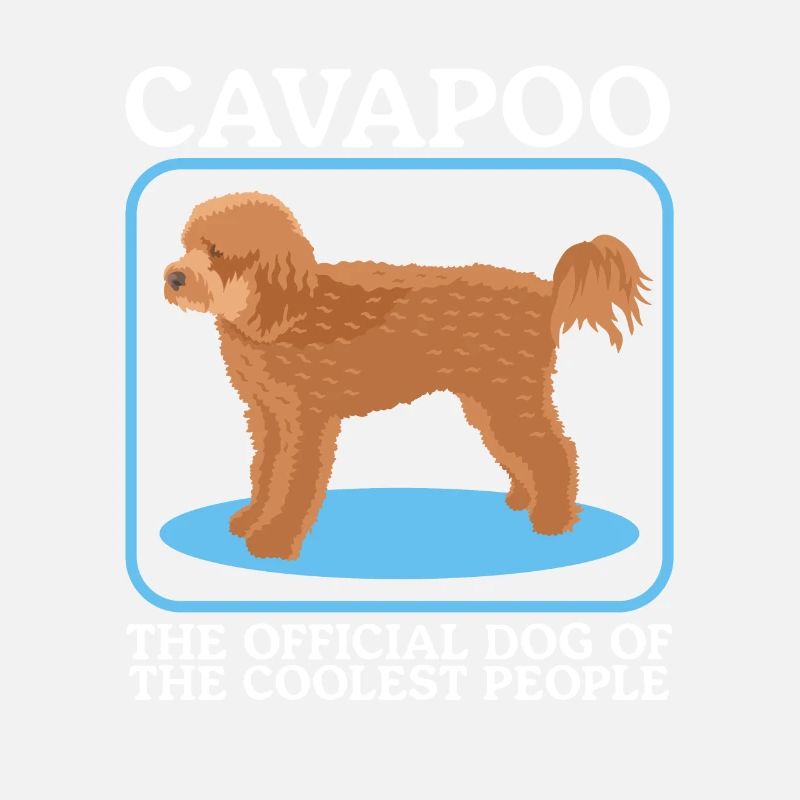 Cavapoo Dog Cavoodle Dog Owner Cadeau