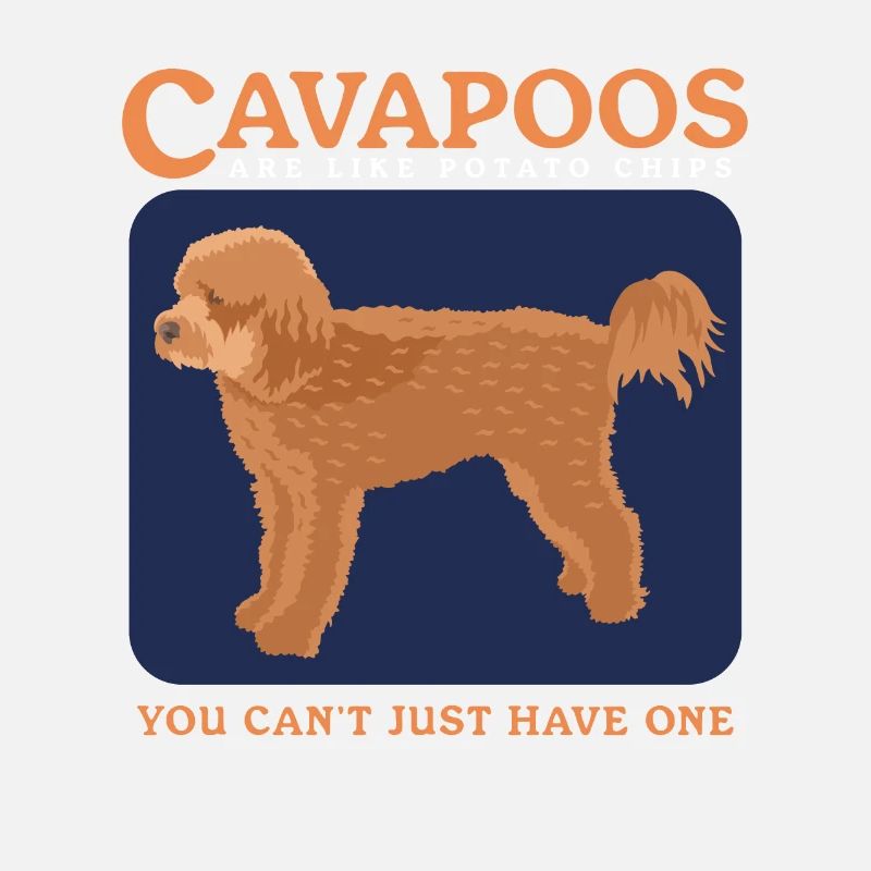 Cavapoo Dogs Cavoodle Dog Owner Cadeau