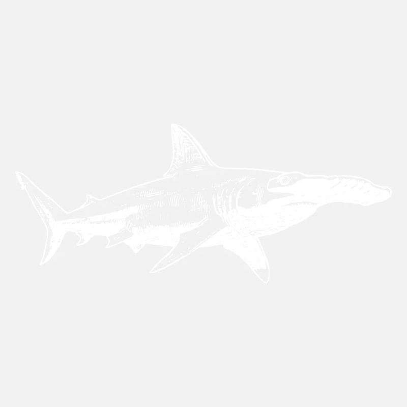 Silhouette du requin-marteau de minuit