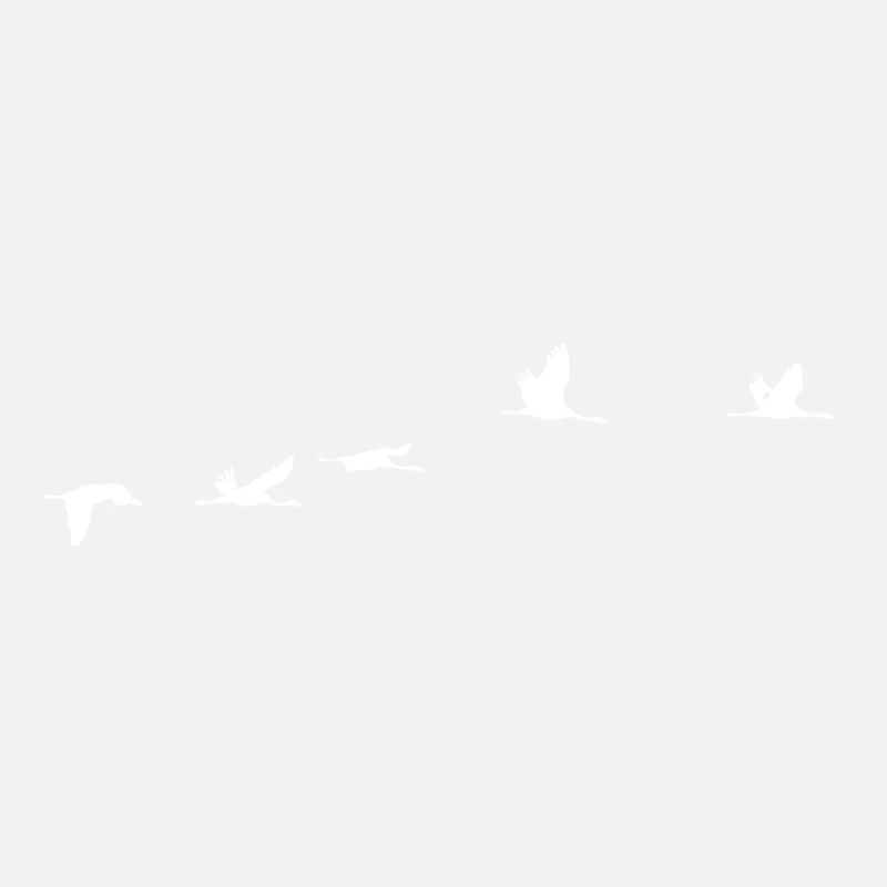 Oiseaux migrateurs blanc grue