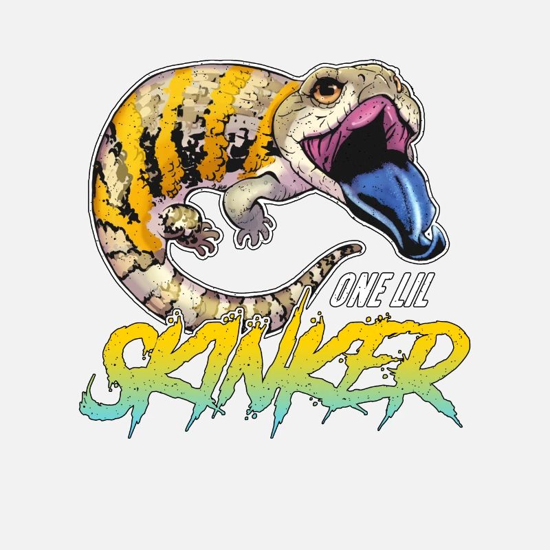 Skinks One Lil Skinker Exotic Animals Herpetology