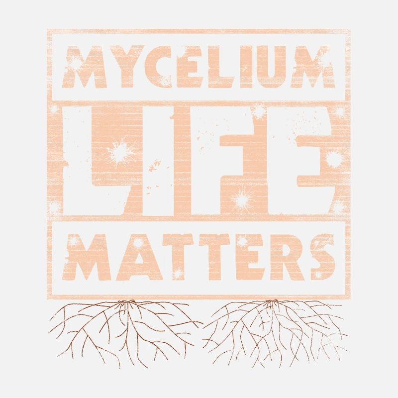 Mycélium Life Matters Chasse aux champignons