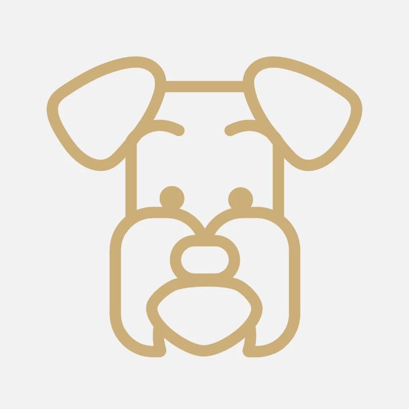 Schnauzer dog Polygon face