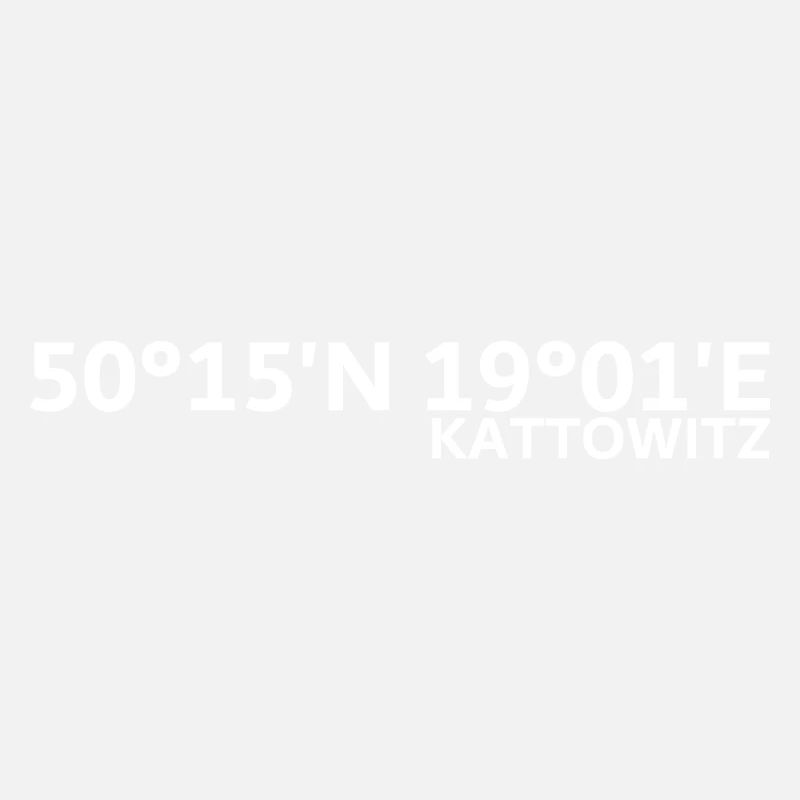 Coordonnées de Katowice