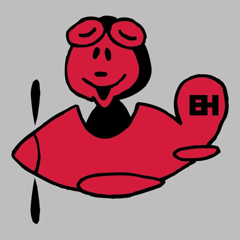 Flugzeug