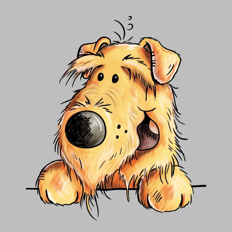 Witziger Airedale Terrier - Welsh Terrier - Hund