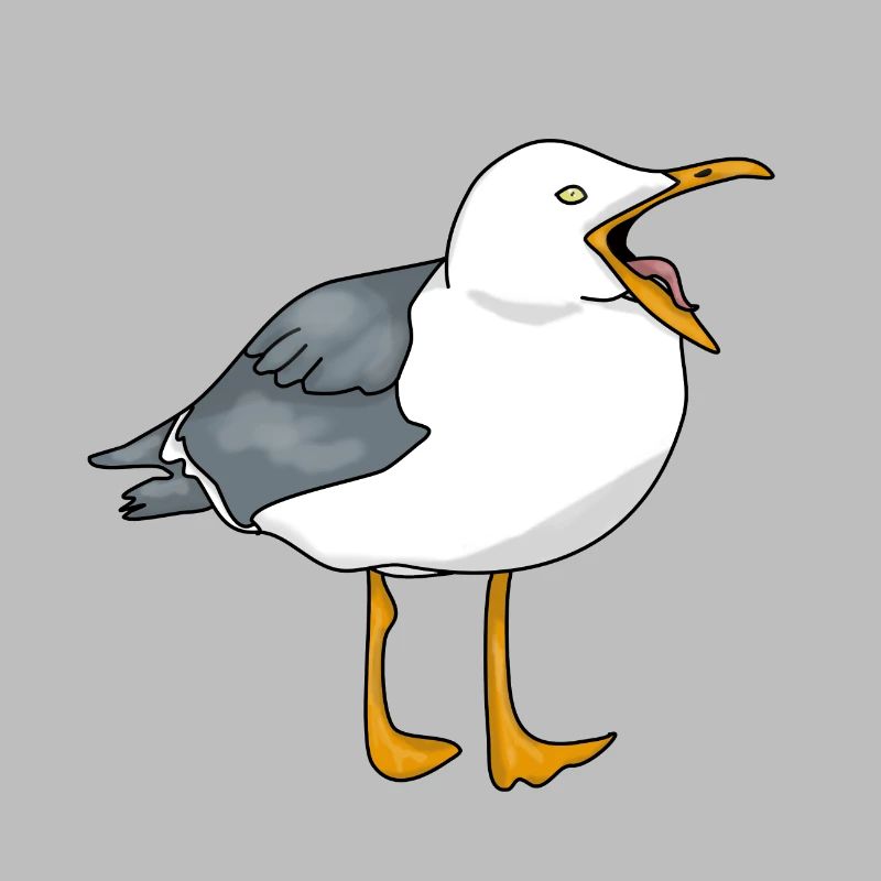 Möwe - Seagull