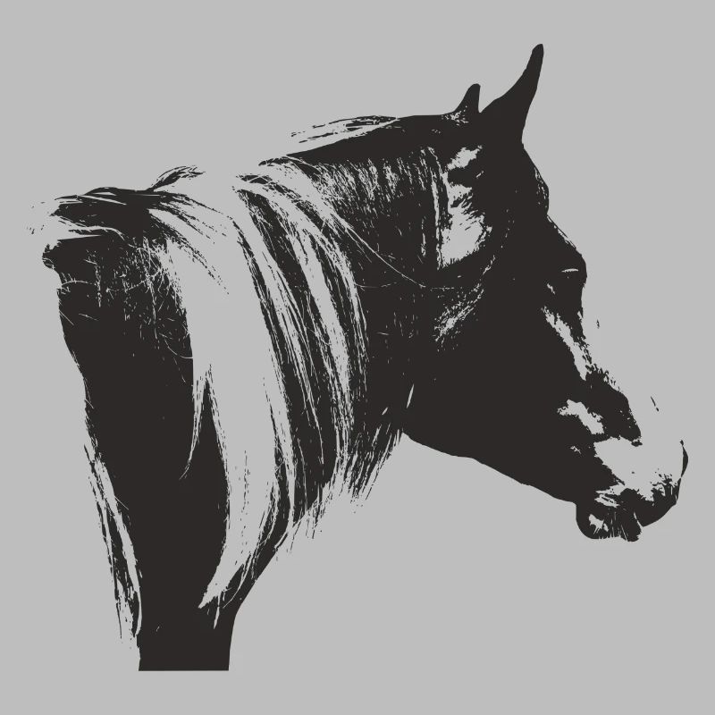 Lewitzer Schecke, Cheval Schecke, Équitation Pinto