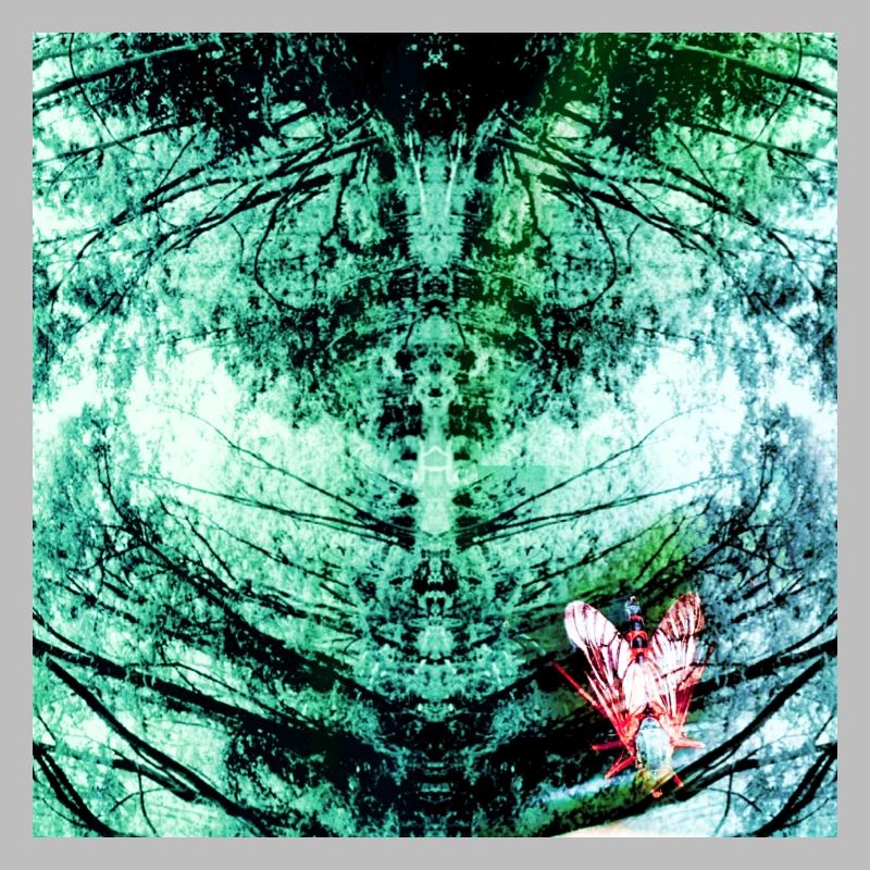 Forest Reflection Teal Butterfly