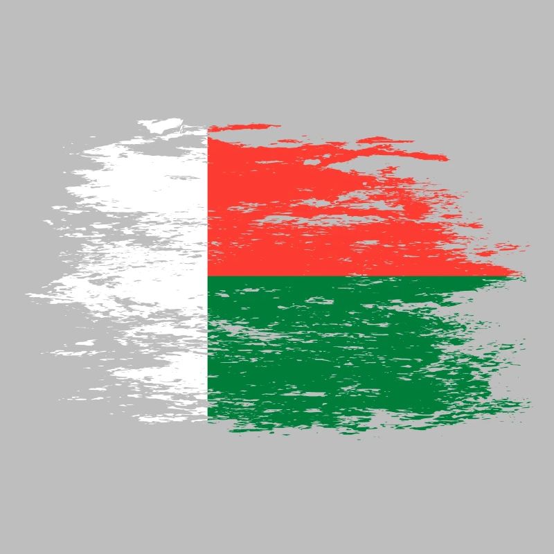 Drapeau de Madagascar utilisé
