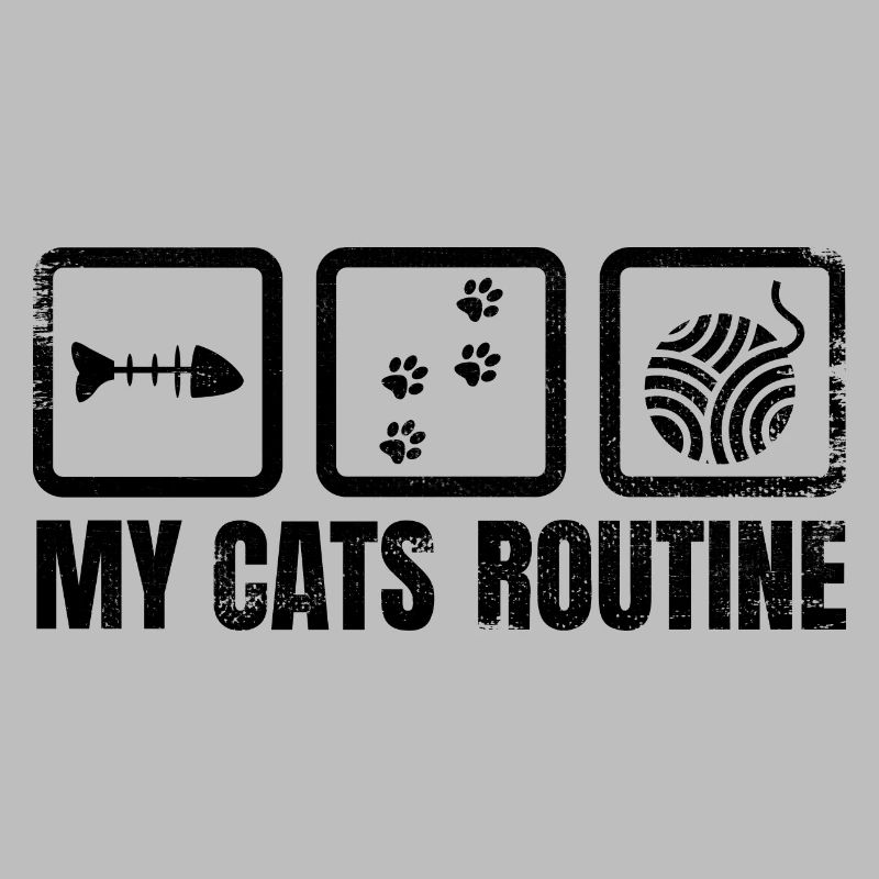 Routine quotidienne du chat