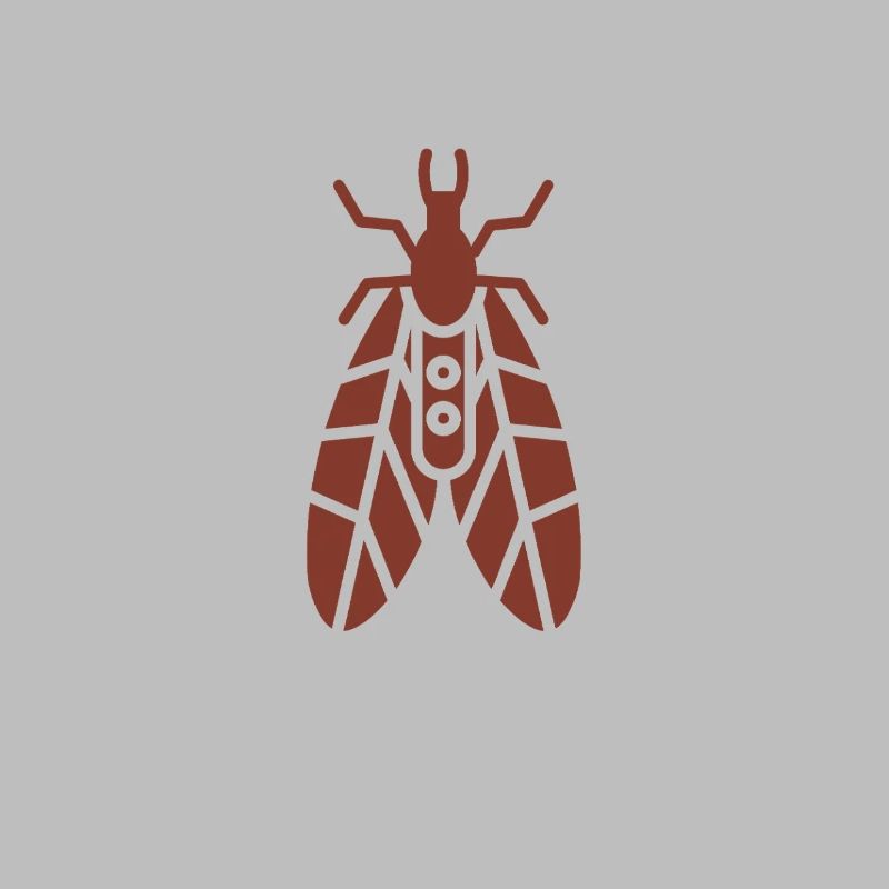 Fragile caddisfly