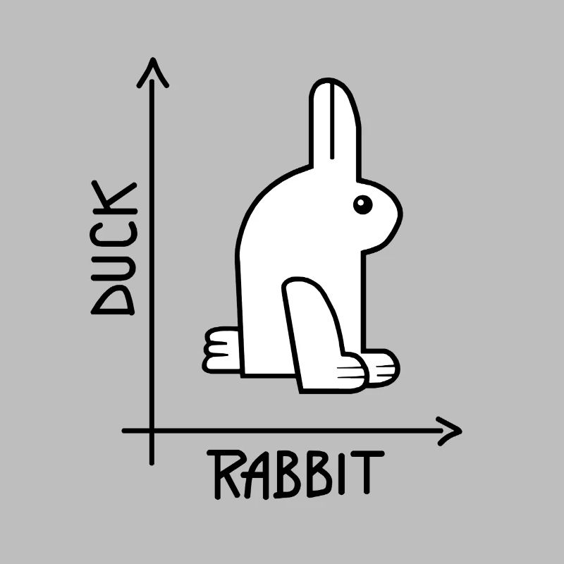 Duck or rabbit Optical Illusion