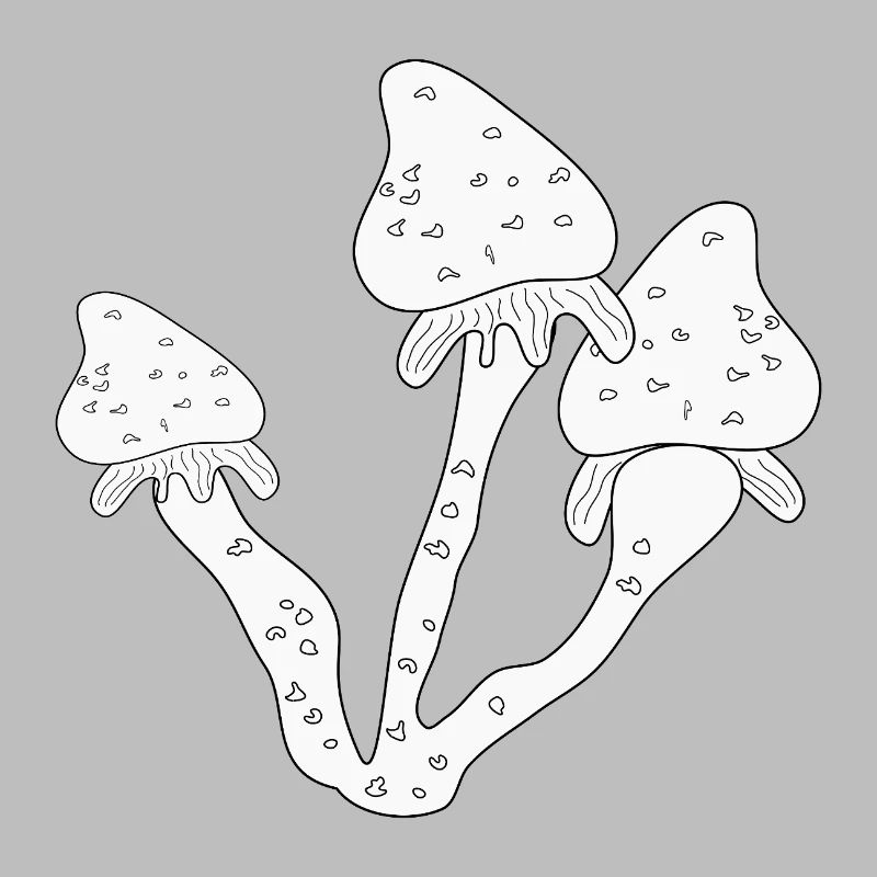Champignons Champignons comestibles