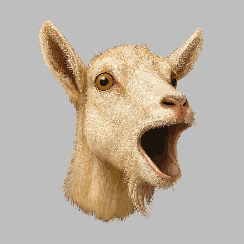 Chèvre Chèvre Élevage Chèvre Éleveur de chèvres Éleveur de chèvres Chèvre