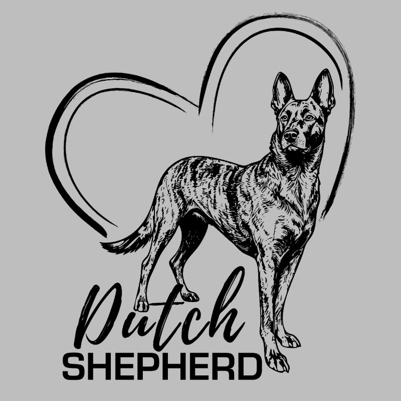 Dutchie - Holländischer Schäferhund