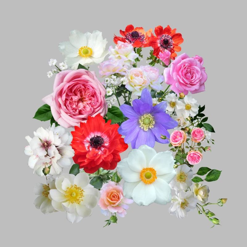 Bouquet de fleurs d’été