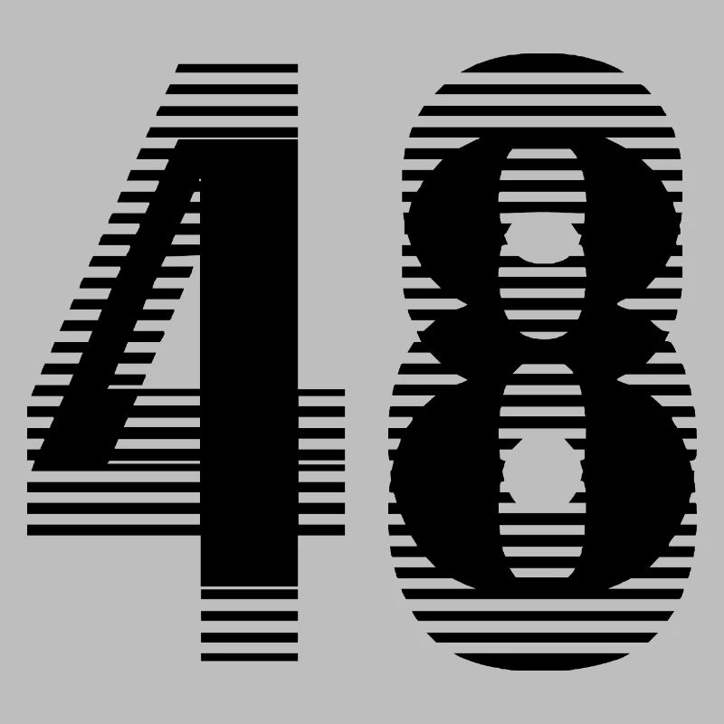 Numéro de course 48 – Passion du sport automobile