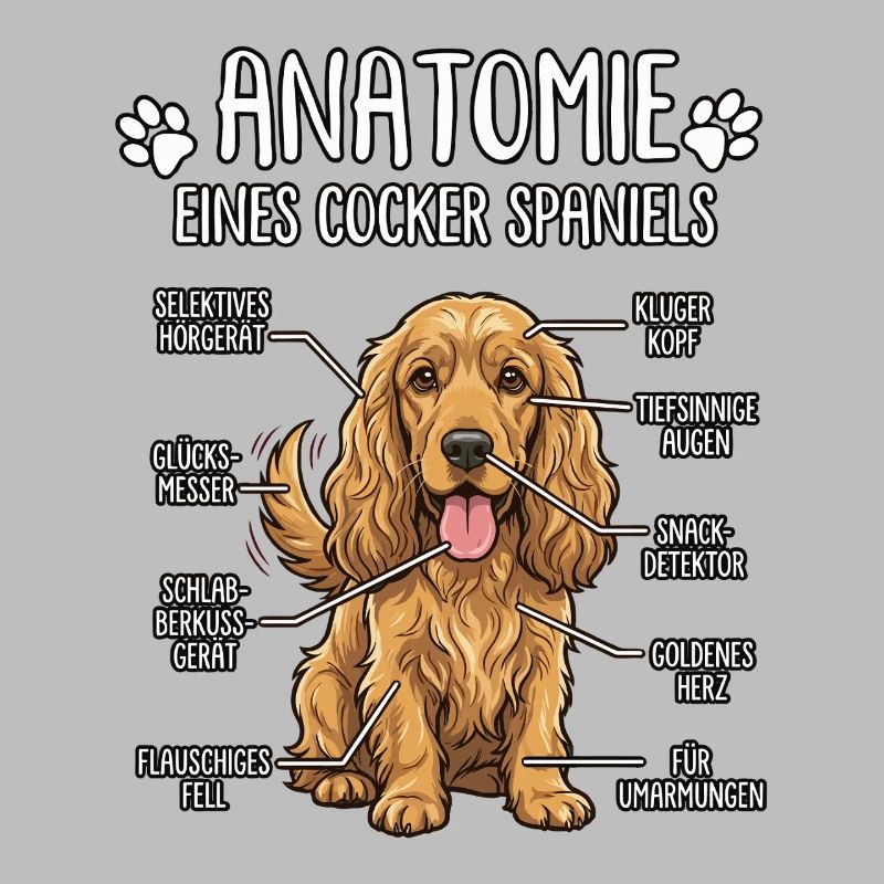 Cocker Spaniel : La vraie anatomie
