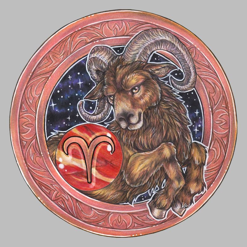 Zodiac Sign Sternzeichen Widder Aries Geschenk