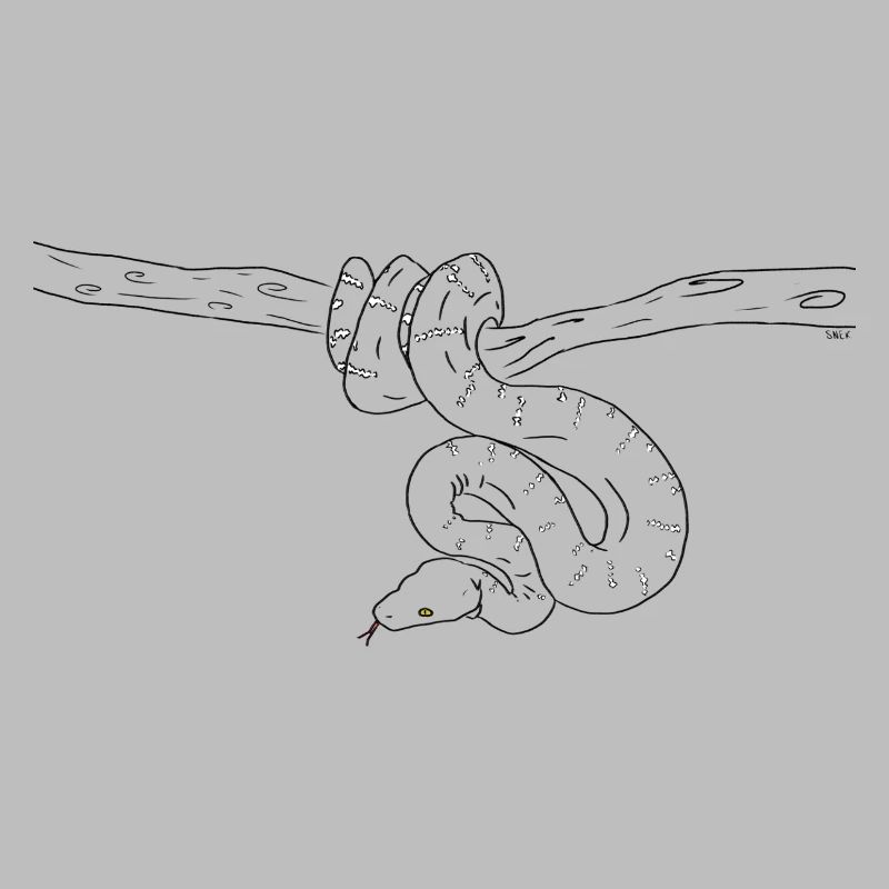 Snake (b&w)