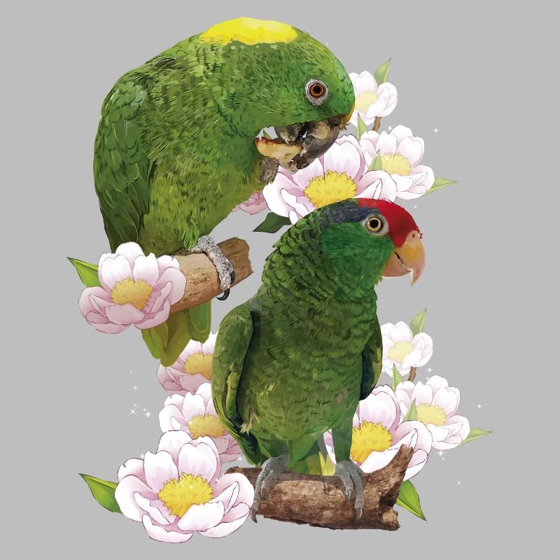 Perroquets