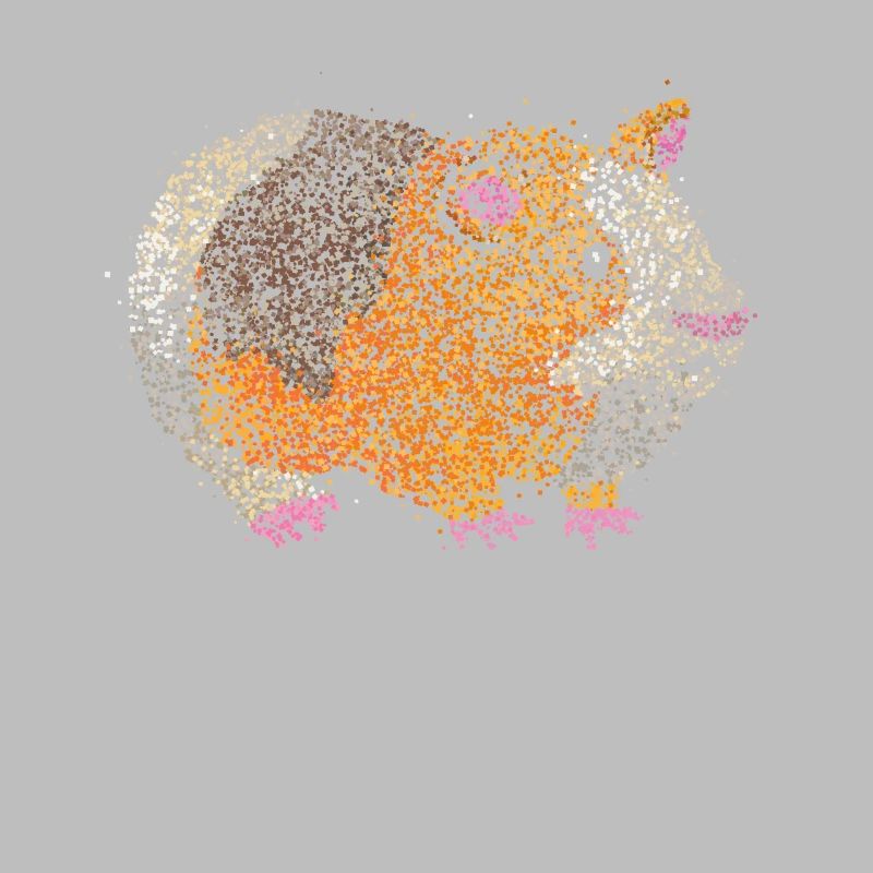 Cochon d’Inde Cochon