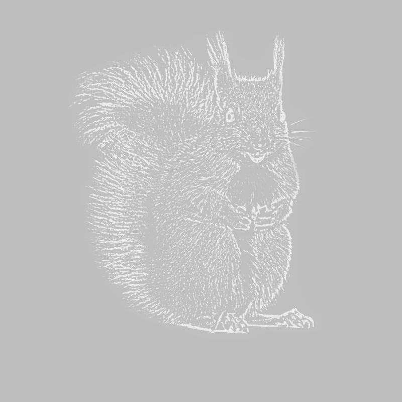 Eichhörnchen