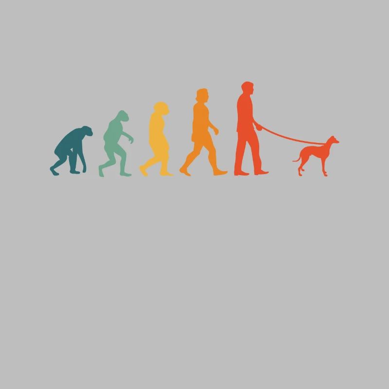 Whippet Evoluition Rétro lévriers Sighthound
