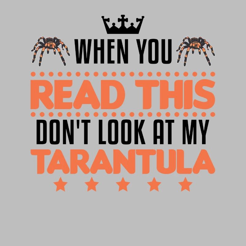 Tarentule Araignée Tarentule