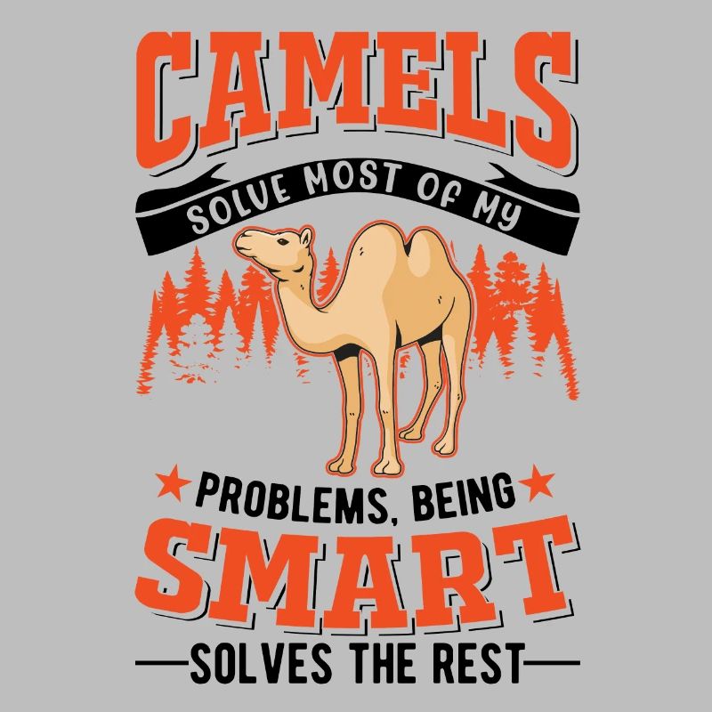 Kamel Dromedar Ägypten Geschenk Großkamel